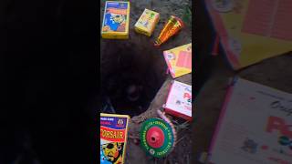 Different Types of Diwali Unique Crackers Testing In Hole  2024 💀 POV Crackers Chorsa  BIDI Bomb [upl. by Elephus]