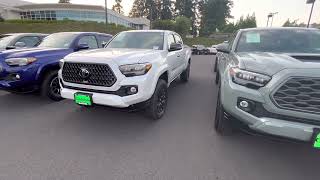 2023 toyota Tacoma limited Nightshade package in wind 🌬️ chill pearl  Lots more trucks on lot [upl. by Yerffoej]