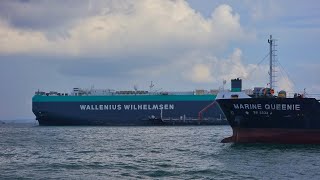 CAR CARRIER WALLENIUS WILHELMSEN [upl. by Gemperle]