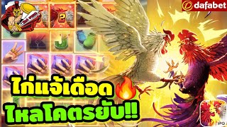 dafabet  เกมส์สa็อต  PG  ไก่แก้จัดให้🐓🐓🐓 [upl. by Wilden]