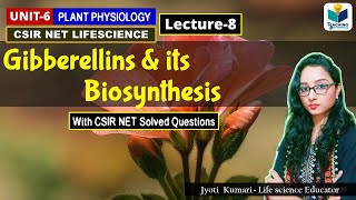 GIBBERELLIN AND ITS BIOSYNTHESIS PHYTOHORMONEPART8CSIR NET [upl. by Collins]