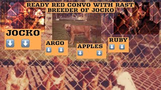 INTERVIEW WITH BOB RAST BREEDER OF JOCKO 12 OF THE WORLD FAMOUS REDBOYJOCKO PITBULL BLOODLINE [upl. by Jakob]