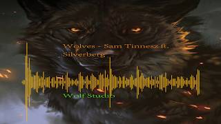 Wolves  Sam Tinnesz ft Silverberg [upl. by Hortensia]