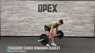 Staggered Stance Romanian Deadlift [upl. by Kcyred900]