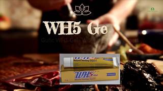 Gufic WH5 Gel Wound healing expert Ayurvedaforall [upl. by Reta]