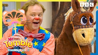 Mr Tumbles Favourite Animal Friends 🐷🐶  42 Minutes of Fun  Mr Tumble and Friends [upl. by Anahtor]