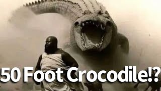 50 Foot Crocodile Seen in the Congo [upl. by Eiuqcaj]