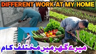 Sabzeea kaise ugaye ghar par  how togrowVagetable at home  میرے گھر میں مختلف کام [upl. by Verne]