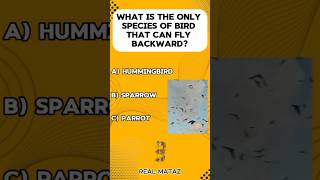 MindBlowing Animal Facts You Won’t Believe  Backward Flying Birds amp 3Hearted Creatures trivia [upl. by Alyks697]