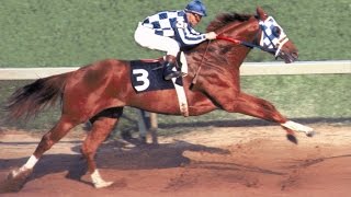 Secretariat  Full Theme by Nick GlennieSmith [upl. by Pillow]