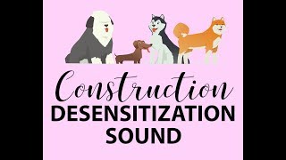 Dog Desensitization Puppy Socialization Construction Noise and Sound [upl. by Eseilenna408]