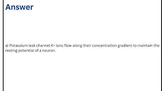 Which channel is mainly responsible for the resting potential of a neuron [upl. by Verner171]