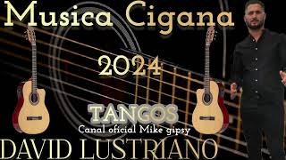 MUSICA CIGANA 2024 DAVID LUSTRIANO rumbaportuguesa musicacigana [upl. by Eintruoc678]