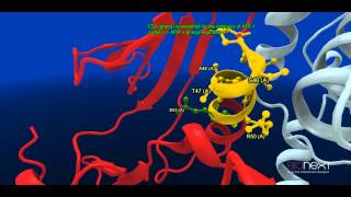 Structural Annotation of a Kinase CDK2 [upl. by Mcclish]