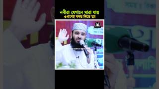 নবীরা যেখানে মারা যায় ওইখানেই কবর দিতে হয়। Mizanur Rahman Azhari shorts waz reels fyp newwaz [upl. by Eide]