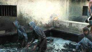 Indigo Dye Extraction [upl. by Airdnola]