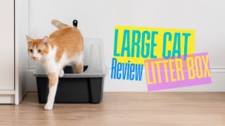 IRIS Large Cat Litter Box Review Perfect for Big Cats [upl. by Lucinda]