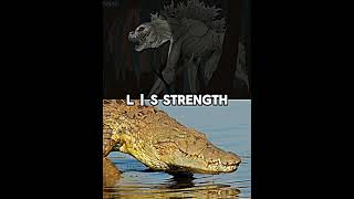 Niloticus Vs Nile Crocodile [upl. by Nomrah970]