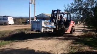 Manitou MH25 4T con volteador [upl. by Zima]