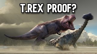 Did Trex Actively Hunt Ankylosaurus [upl. by Mic]