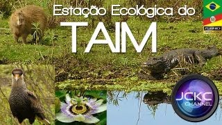 Taim  Reserva Ecológica  Estação Ecológica  RSBrasil  Taim Ecological Station [upl. by Nigam395]