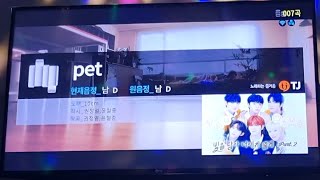 Pet  10cm 여자키Female Key  1000주young 커버Cover [upl. by Attalanta]