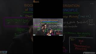 Biochemical Characterisation of Transforming Principle Molecular Basis of Inheritance  Class 12 [upl. by Atal]