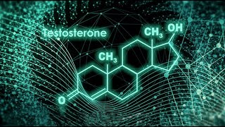 True TRT  Testosterone V2 [upl. by Yelnik]