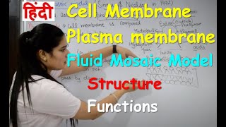 Cell Membrane Anatomy amp Physiology in Hindi  Fluid Mosaic Model  Components  Plasma Membrane [upl. by Aurea589]