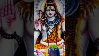 Man mera mandir shiv meri pooja bholenath youtubeshorts [upl. by Scrivens]