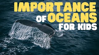 Importance of Oceans for Kids  Learn why Earths oceans are so significant [upl. by Nosirrag]