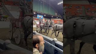 Carriage horse competition winners TheBigEFair 2024 [upl. by Northington]