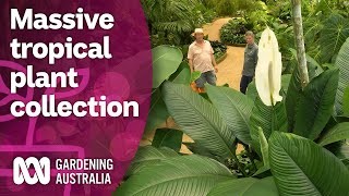 Exploring a massive collection of rare tropical plants  Discovery  Gardening Australia [upl. by Imuy209]