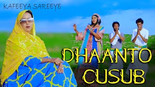 DHAANTA CUSUB  KAFEEYA SARHAYE  QORAXAY KADAYDAYA  2024 OFFICIAL VIDEO [upl. by Tivad710]