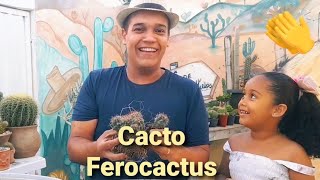 Mudas de Cactos Ferocactus Replante e dicas de cultivo [upl. by Anitsirhk]