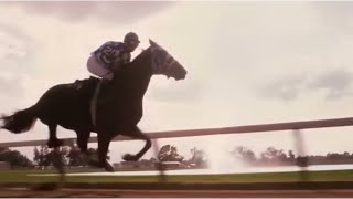 Secretariat Final Race Edit this took me two days [upl. by Epstein229]