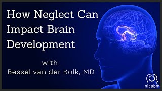 How Neglect Can Impact Brain Development – with Bessel van der Kolk MD [upl. by Aneala]