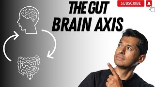 The surprising link between your gut and brain [upl. by Auqinimod]