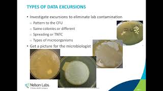 Microbiological Control in a Pharmaceutical Manufacturing Environment [upl. by Dareen]