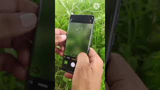 Oppo reno 12 5g camera testing pubgmobile [upl. by Tempa]