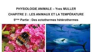 Chapitre 25 Des animaux ectothermes hétérothermes [upl. by Nytnerb250]