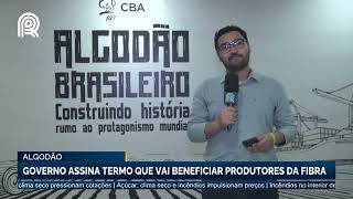 Em Fortaleza CE Congresso Brasileiro do Algodão acontece até quintafeira [upl. by Larimore]