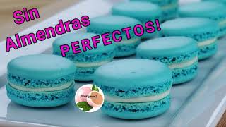 MACARONS SIN HARINA de ALMENDRAS  SOLO 4 ingredientes receta ECONOMICA [upl. by Charla880]