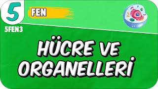 Hücre ve Organelleri 📗 5FEN3 2025 [upl. by Eikcin]