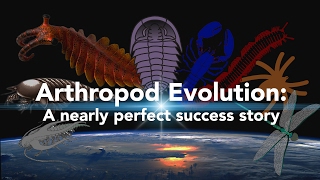 Arthropod Evolution A nearly perfect success story [upl. by Runkle]