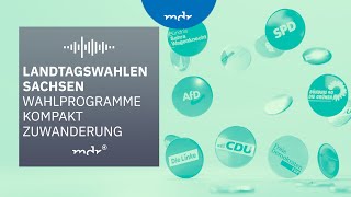 Zuwanderung – Das planen Sachsens Parteien  Podcast Wahlprogramme kompakt  MDR [upl. by Farr]