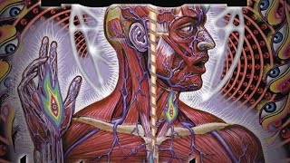 TOOL  Lateralus Full Album HQ [upl. by Oinotnanauj]