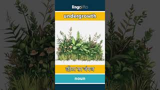 🇬🇧🇮🇳 undergrowth  छोटा सा जंगल  चलो अंग्रेजी सीखें [upl. by Selimah]