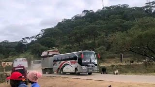 Timboon coaches from south Africa to Zimbabwe Harare [upl. by Eimmot]