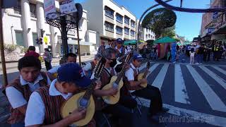 Ilocandia Waltz cover by Philippine Rondalla Serenata — Street Music Philippines [upl. by Ahtenak549]